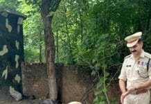 सीआरपीएफ स्टेशन चंडीगढ़ में 20 से अधिक प्रजातियों के 120 पेड़ लगाए