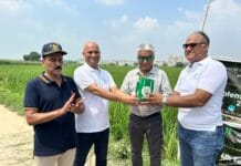 सदाफल वाटिका मोहाली में सौ फलदार पौधे लगाए